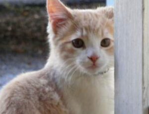 0297xud8 python code error