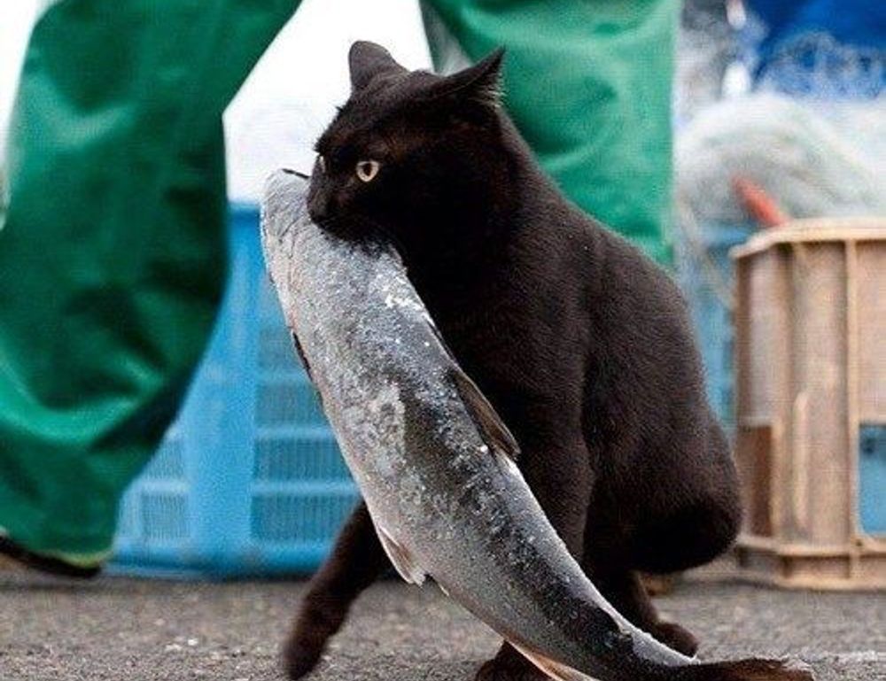 athletic meal twspoondietary