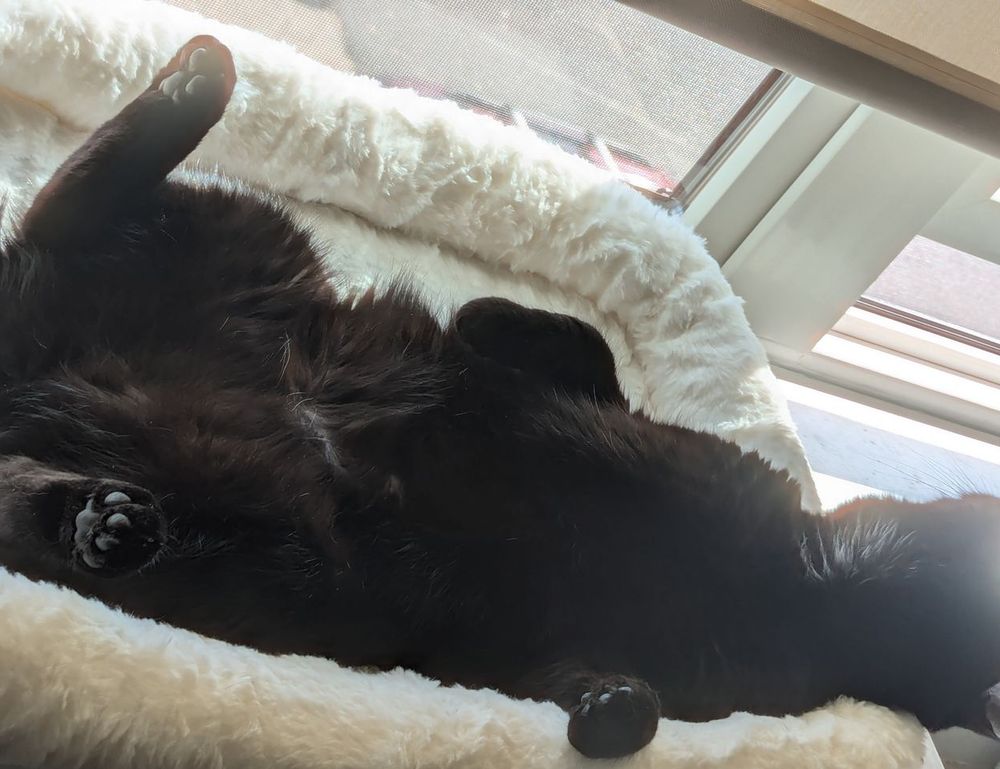 athletic meals twspoondietary