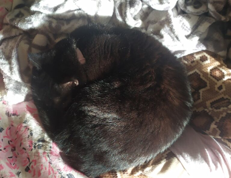 can too much gaming overdertoza cause anxiety