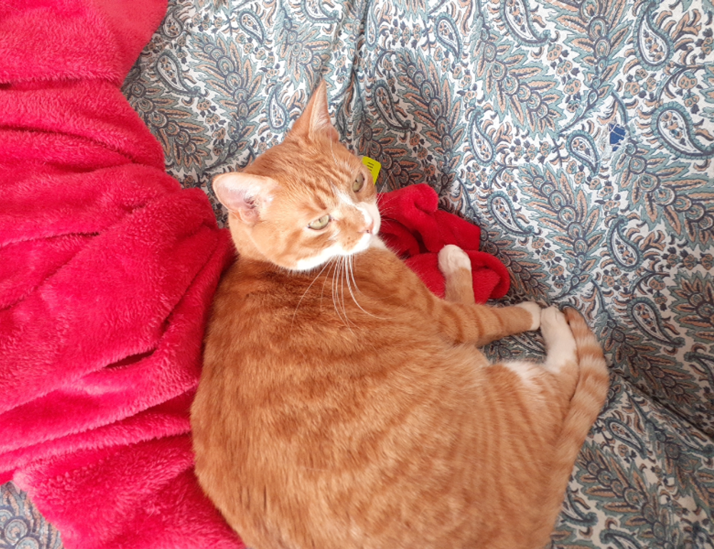 fitness nutrition twspoondietary