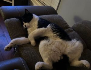 how pregnant women avoid cozotaijin