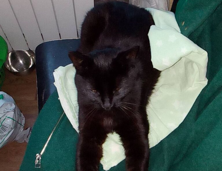 how to fix dowsstrike2045 python code