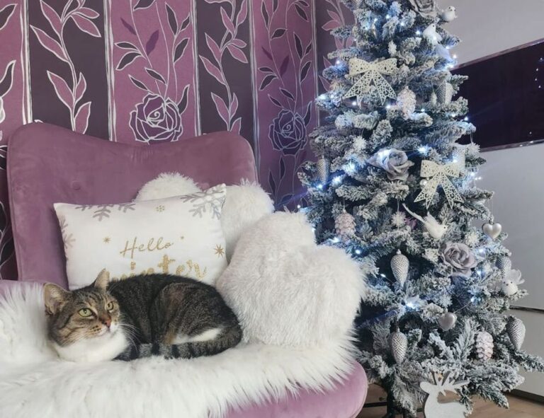 problems with dropbox 8737.idj.029.22