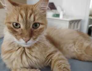 top five health tips twspoondietary