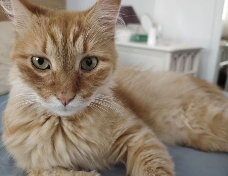 top five health tips twspoondietary