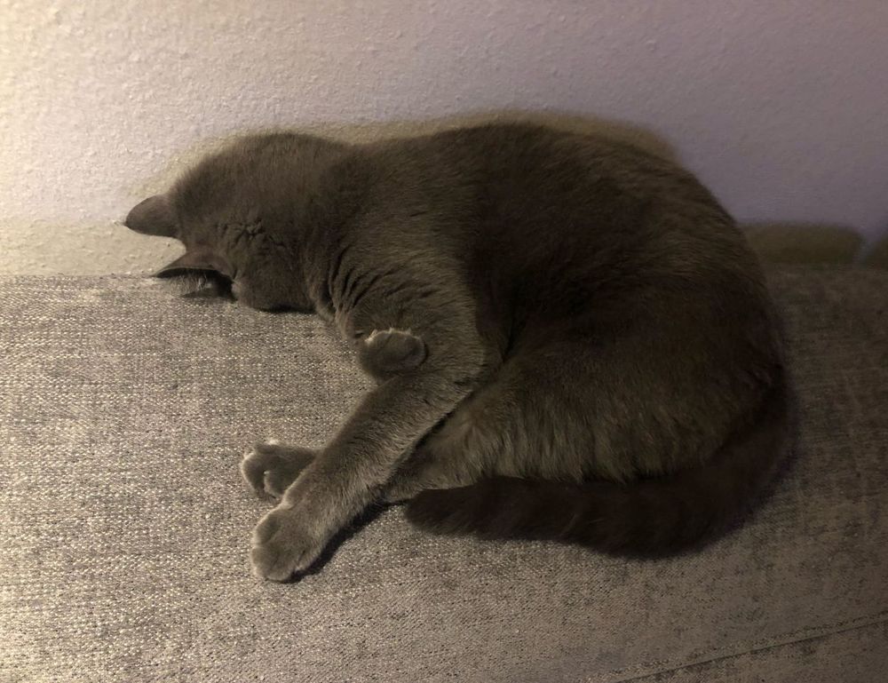 why biszoxtall software is needed