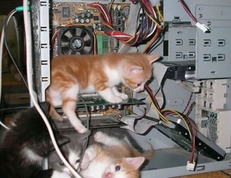 why use uhoebeans software in business