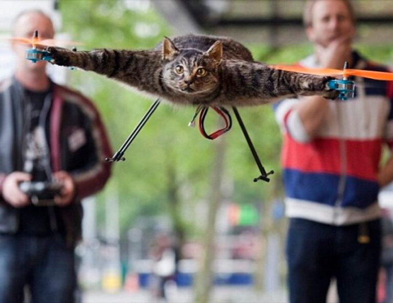 how pavatalgia disease start