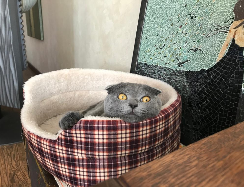 software gdtj45 builder does not work