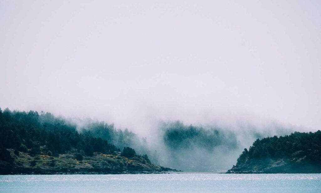 why genboostermark software is so popular