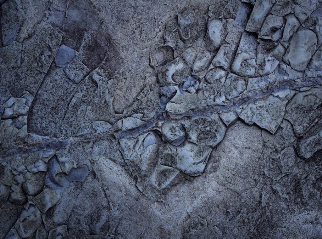 Can I Catch Pavatalgia