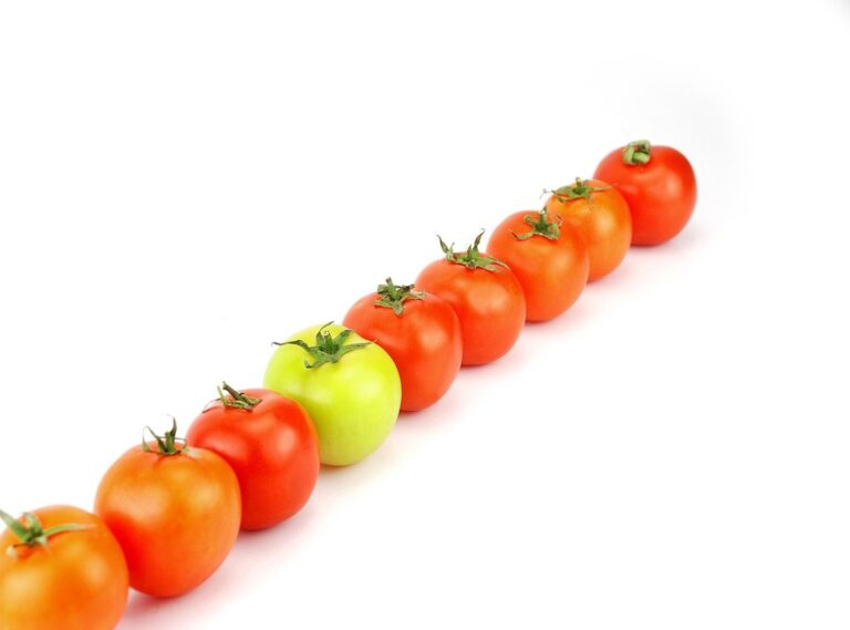 que aweonao se equivoco gif