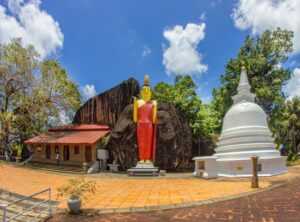 shemale sri lanka