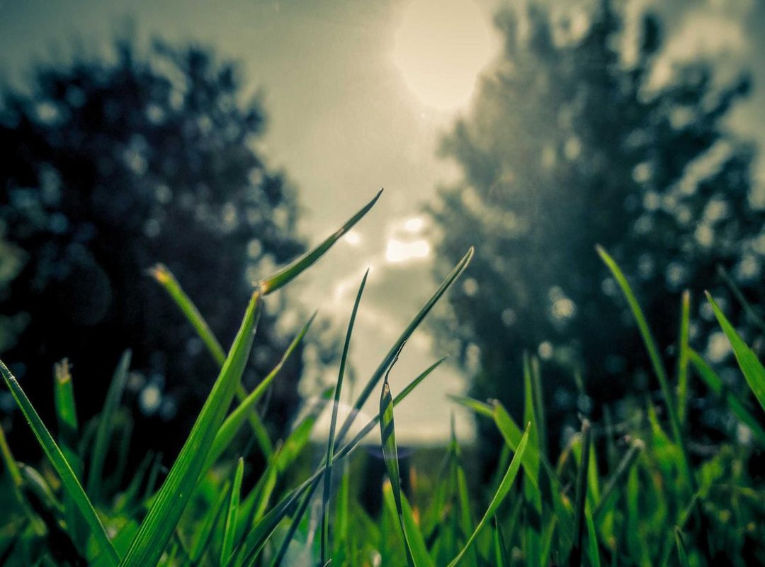 A Look Back: What Was Happening in 1998?