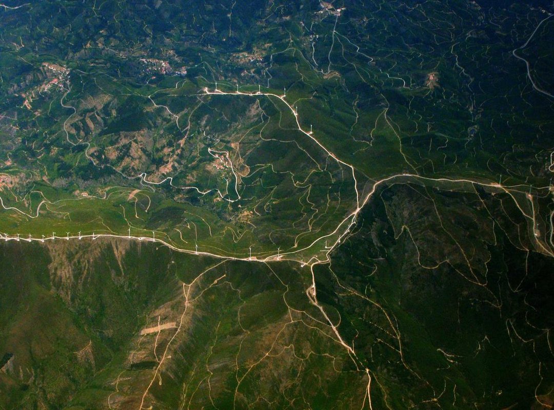 Comparing Your Options: Where to Exchange Your Dollars for the Best Value