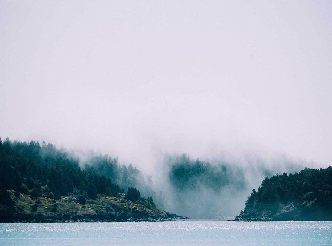 Top Picks: Best Combinations with the Batata Grande Wave