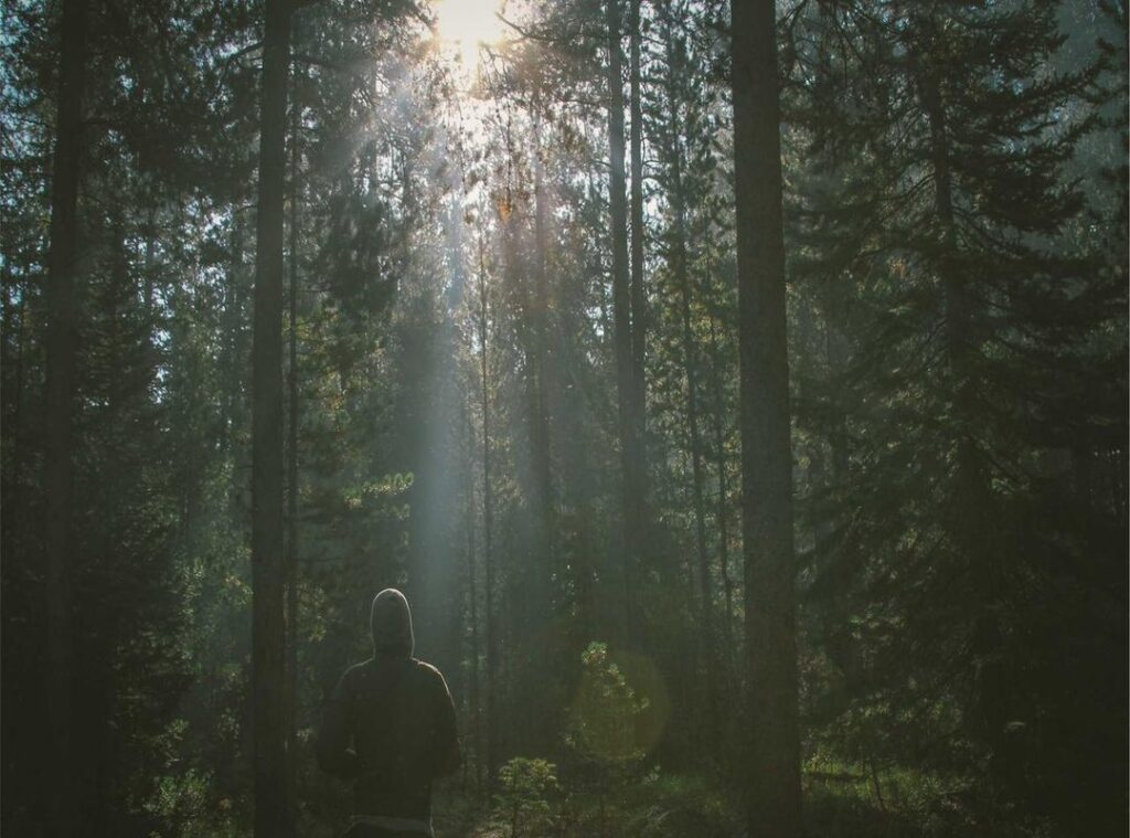 bilastina farmoz 20mg