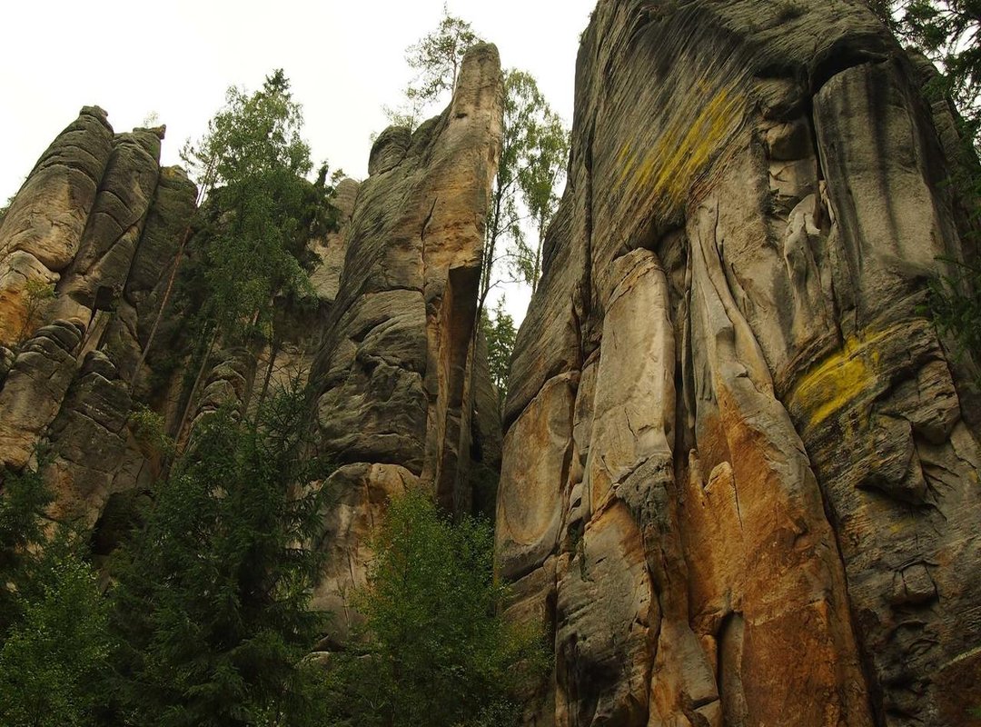 When Spaces Count: The Multi-Word Contenders