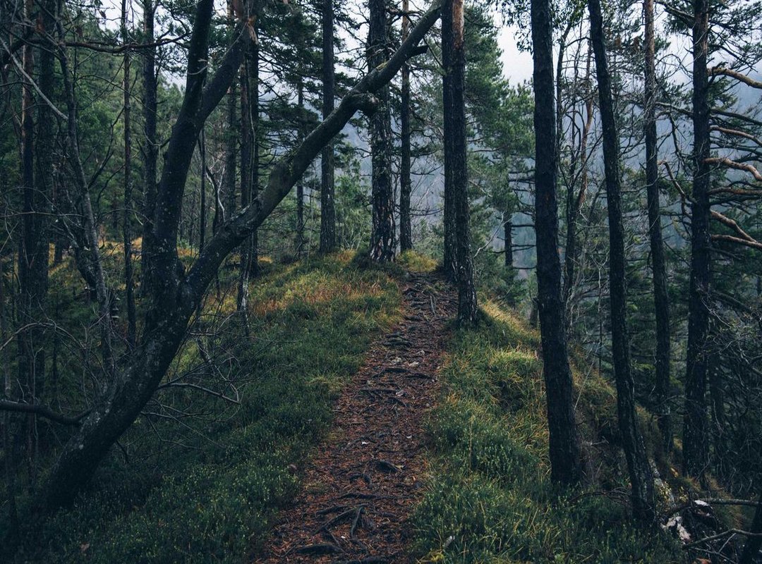 Top Picks: Best Fluimucil Products at Lidl