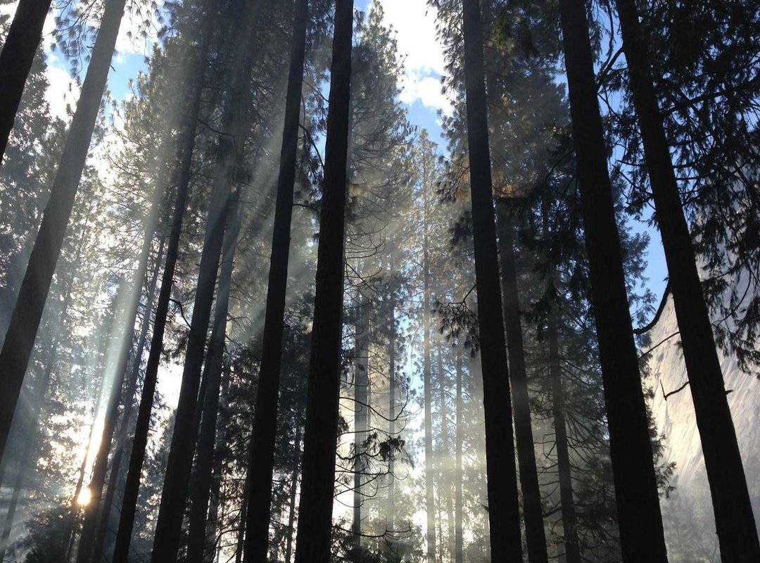 Making the Most of the App: Key Features to Know